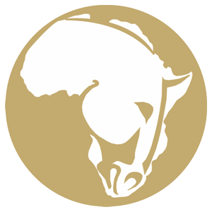 Equine South Africa logo