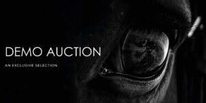 Demo Auction